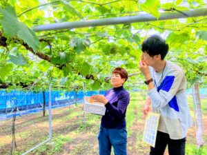 田形ぶどう園