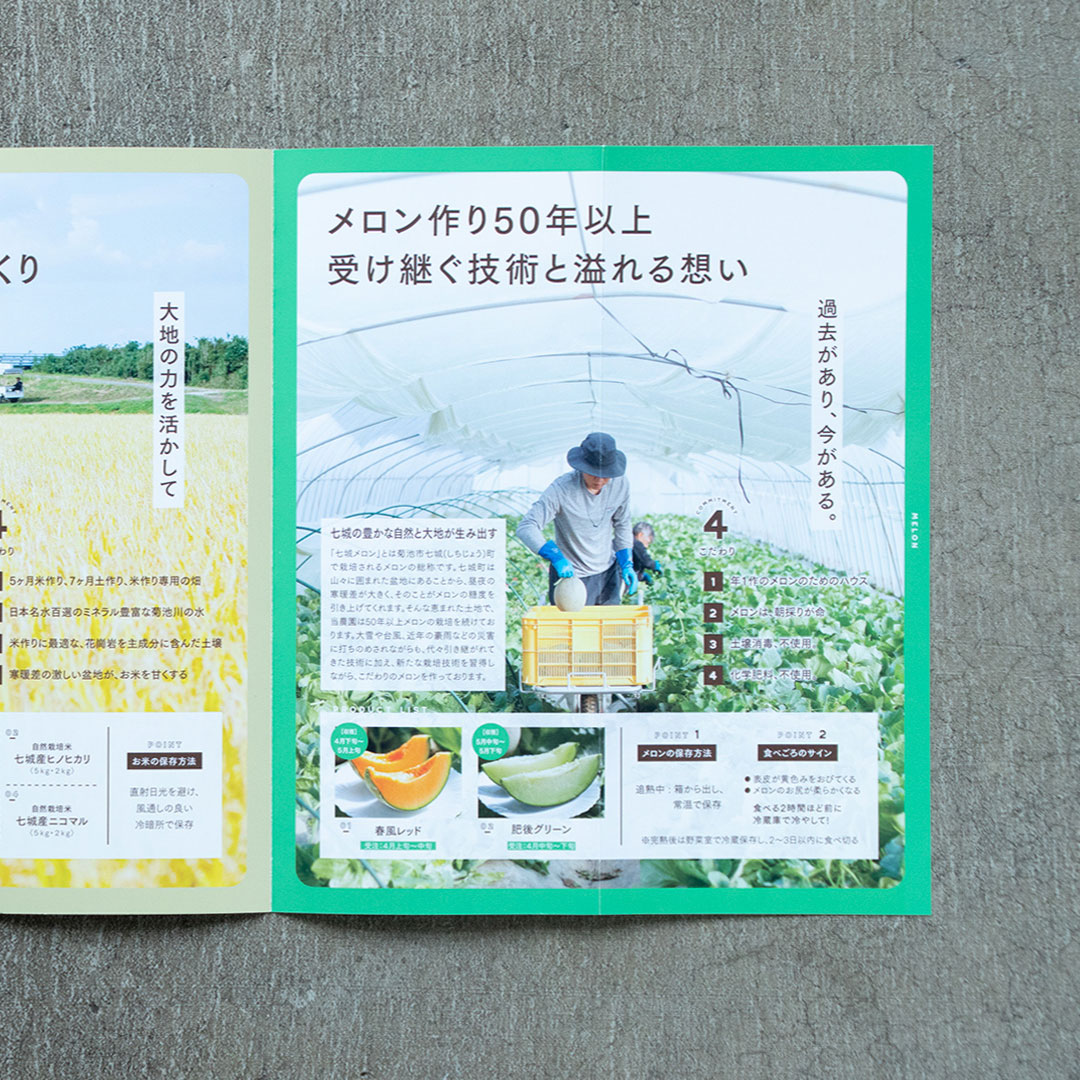 リーフレットデザイン3